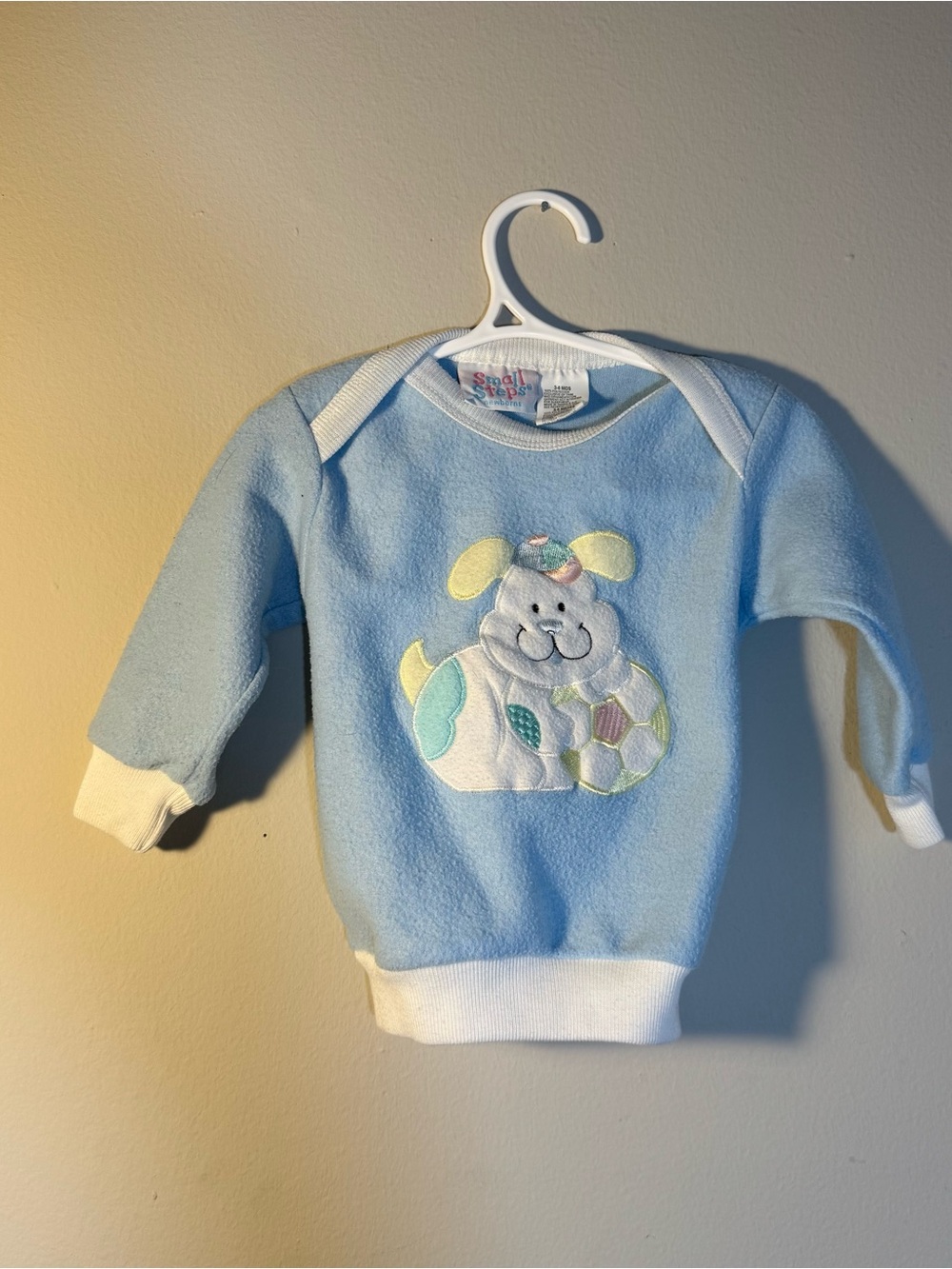 Baby Blue Plush Pullover with Puppy